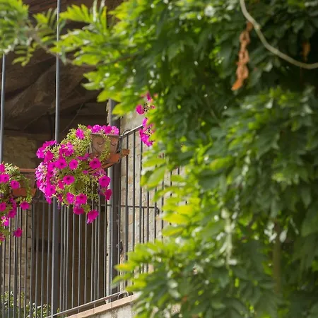 Gospodarstwo agroturystyczne La Casa Di Talin