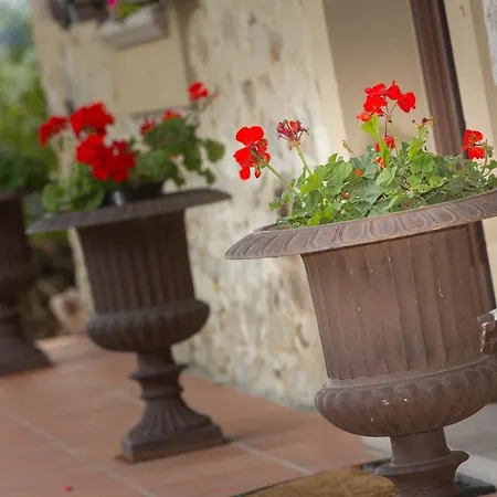 La Casa Di Talin * Serravalle delle Langhe