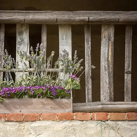 La Casa Di Talin Serravalle delle Langhe