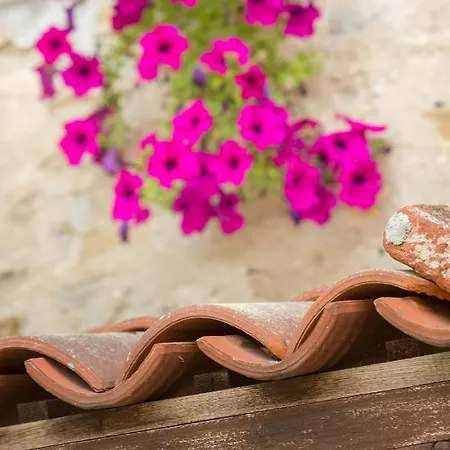 La Casa Di Talin Serravalle delle Langhe